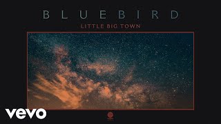 Little Big Town Bluebird