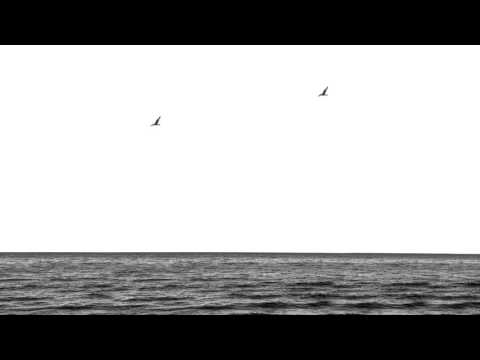 Meefs x Pueblos x Aleksandra Kasperek - Kontrasty (prod. SICKBROS)