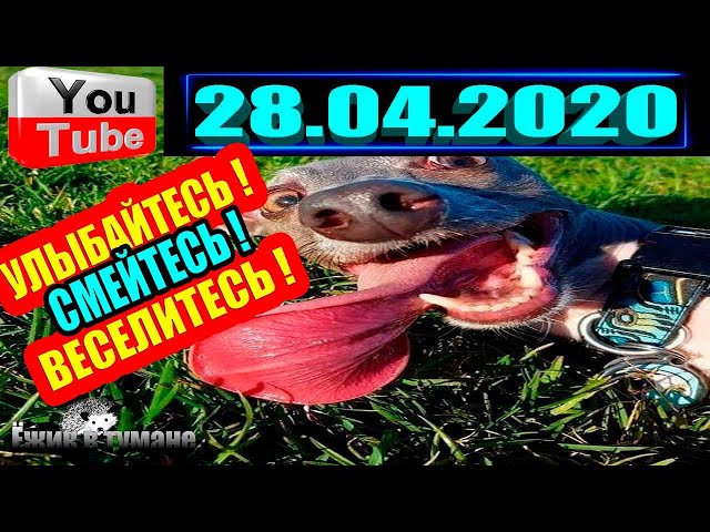 ПОДБОРКА Лучших Приколов Смешные Видео из ТИК ТОКА