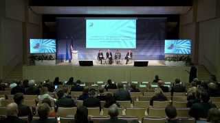 Plenary session 1 (continued): Conference on Strenghtening the European Audiovisual Media Market
