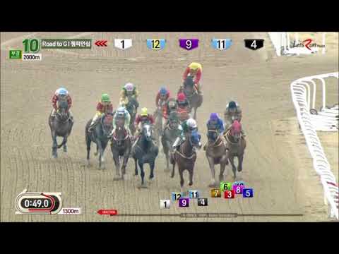Four Nines - Busan Racecourse, March 9, 2018