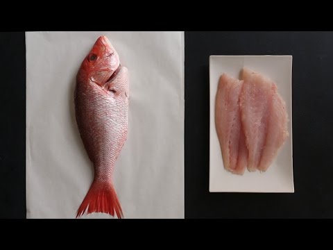 download lagu mp3 mp4 Fillet Whole Fish, download lagu Fillet Whole Fish gratis, unduh video klip Fillet Whole Fish