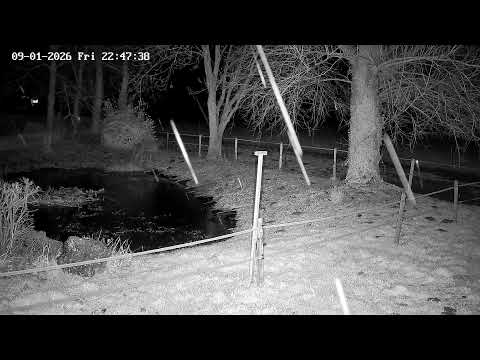 Uhu Webcam 3 – Live-Stream von EGE – Gesellschaft zur Erhaltung der Eulen e.V.