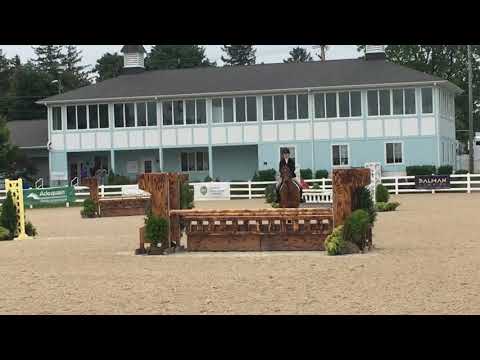 Spero - 3'3 Small Junior Hunter