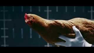 Mercedes Benz: Chicken