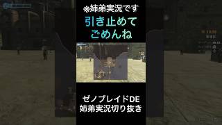 【ゼノブレイドDE】引き止めてごめんね【ゲーム実況】