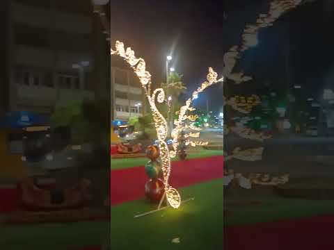 #shorts #short #shortvideo #brasil #minasgerais #varginha #christmas #art #beautiful #culture #arte