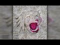 Tee Grizzley Robbery Part 3 Instrumental