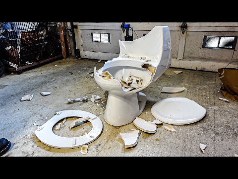 Kohler Toilet Destruction