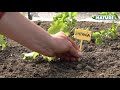 Moestuinfolie 2x10 m transparant | video 1