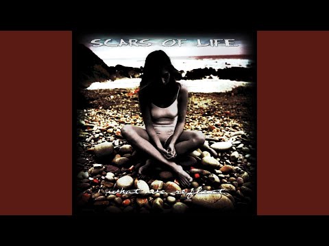 Lost Years - Scars of Life