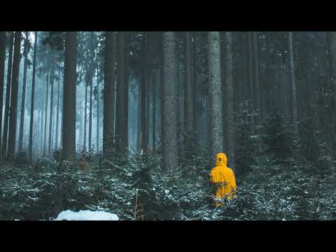 Sid Acharya - Stories from the Sky (Slowed and Reverb Edition)