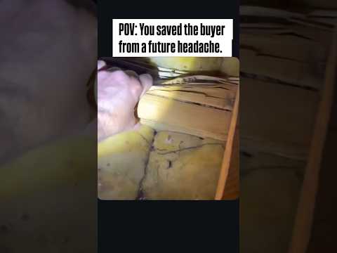 Home Inspection #homeinspector #homeinspection #termites #pestcontrol #oldhouse #renovation