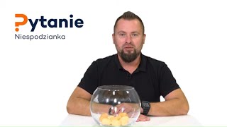 Pytanie niespodzianka - Wojciech Boczoń konta osobiste | Bankier.pl