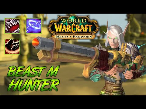 BM Hunter PvP +2200 - WoW MoP Classic