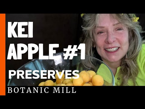 KEI APPLE #1 PRESERVES
