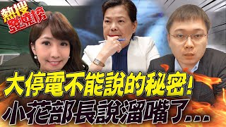 Re: [新聞] 303大停電備轉率24％靠光電灌水 綠能不