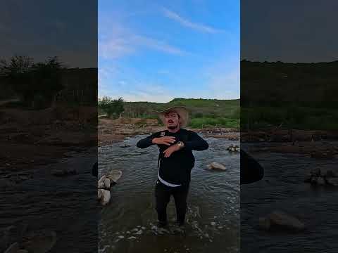 estou no sítio capivara zona rural da cidade de frei miguelinho Pernambuco