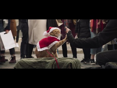 世界一有名な猫・ボブとハイタッチ！『ボブという名の猫２　幸せのギフト』本編映像【2022年2月25日公開】