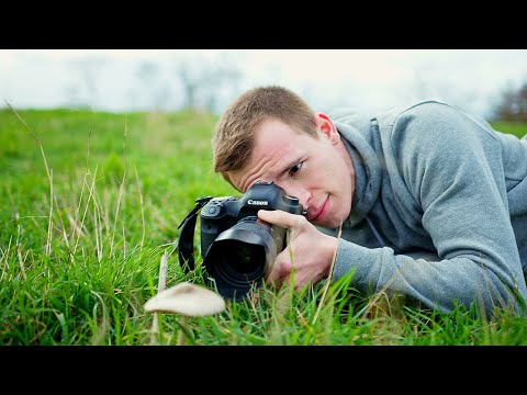 Wie fotografiere ich: Makros ohne Makroobjektiv