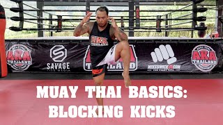 Muay Thai Basics - Blocking Kicks