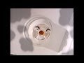 Seymore Smoke Detector With Gilbert Gottfried 1996
