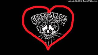 VIOLENT GORGE - LET'S ENJOY AGATHOCLES