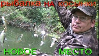 Ссылка