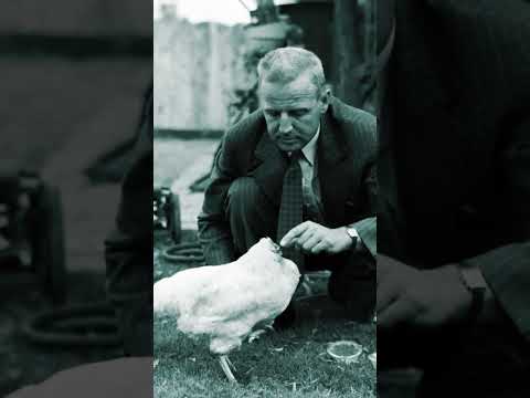 Mike the Rooster Who Lived Headless for 18 Months #worldhistory #sorts #historicalfigures