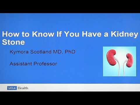 How to Know If You Have a Kidney Stone | Kymora Scotland, MD, PhD | UCLA Urology
