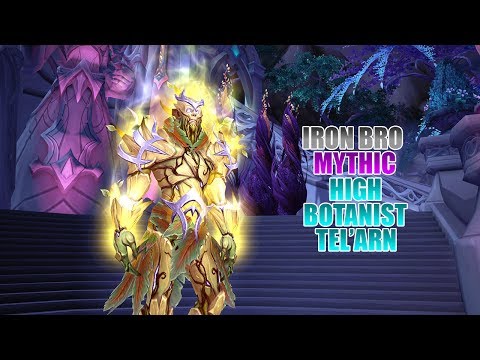 Iron Bro - Mythic High Botanist Tel'arn