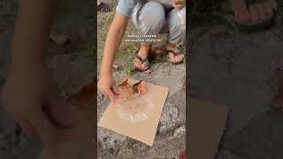 Download lagu Main Seru Pakai Kardus & Daun Gugur! 🍂🦁 #youtubeshorts #diy #craft #shortvideo mp3