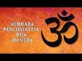 Aumkara Panchatattva Dr Balaji Tambe Santulan Om Meditation Times Music Spiritual
