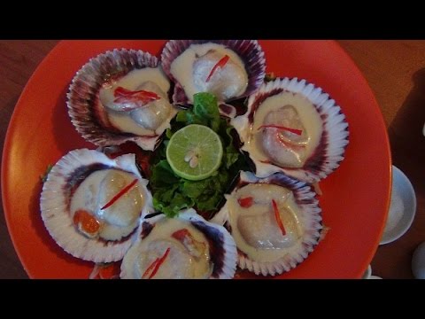 Receta de conchitas al pisco- como preparar conchitas al pisco