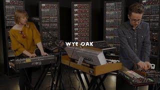 Wye Oak | It Was Not Natural | Moog Sound Lab