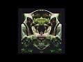 Midlake - Bring Down