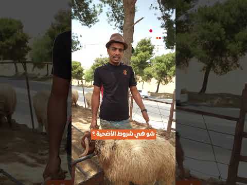 شو هي شروط الأضحية ؟ 