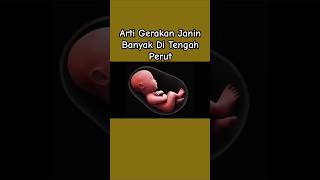 Download lagu Arti Gerakan Janin Banyak Di Tengah Perut Bumil #shorts #bayi #baby #janin mp3