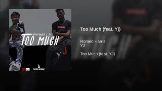 Too Much (feat. Yj)