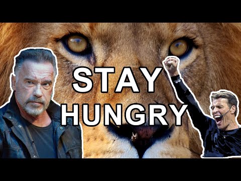 STAY HUNGRY - Top Motivational Video