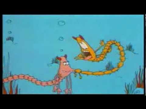 Beastly Behaviour - The Marine Bristleworm