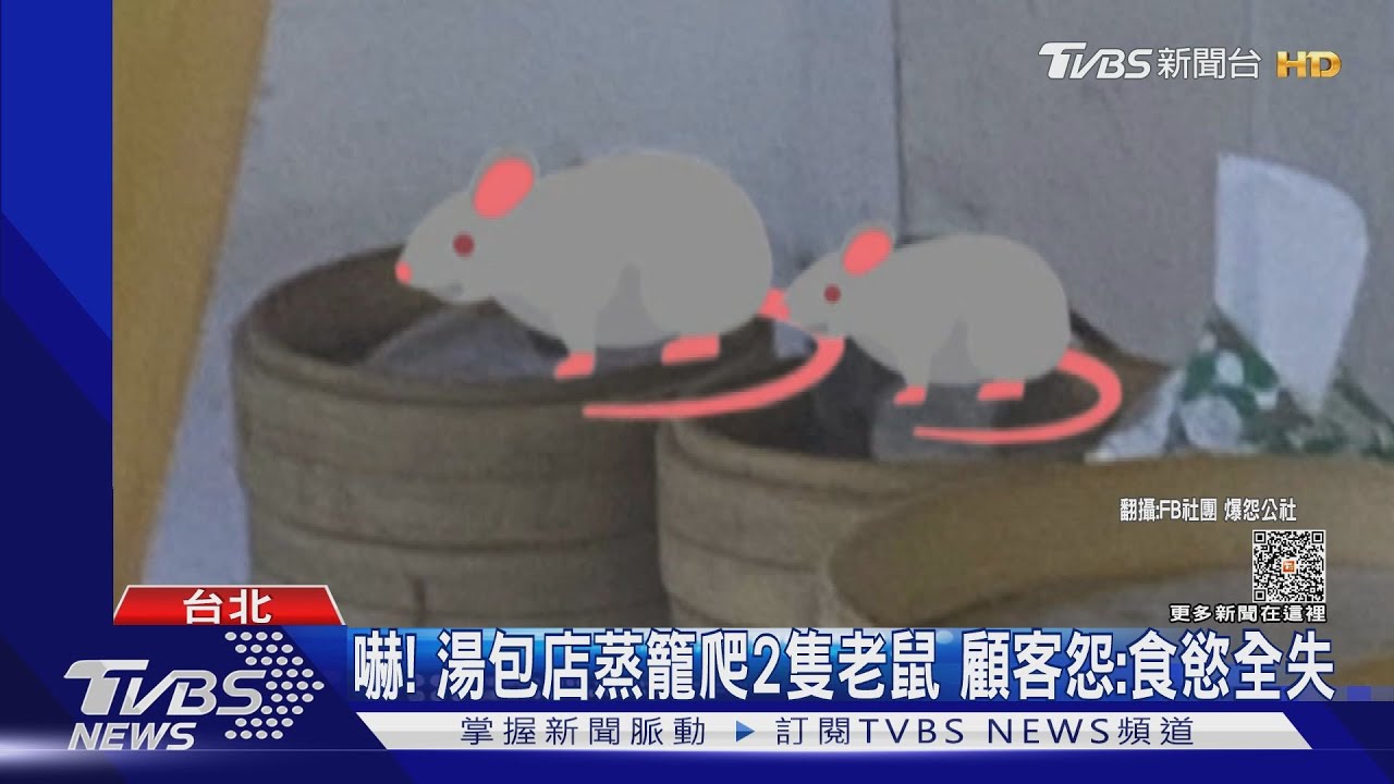 嚇!湯包店蒸籠爬2隻老鼠 顧客怨:食慾全失