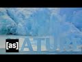 Nature Off The Air Adult Swim