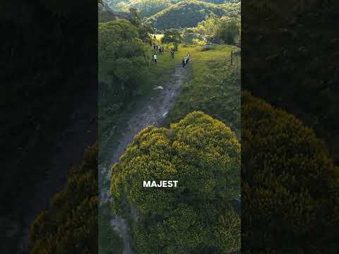 A Natureza de Bom Sucesso de Itararé