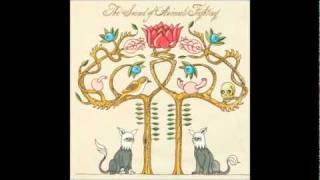 The Sound Of Animals Fighting - Un&#39;aria Elettronica (Technology)