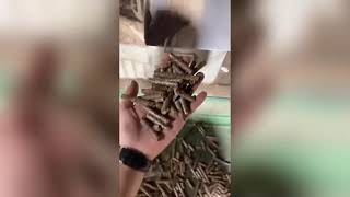 Biomass pellet production line with an hourly output of 10 tons