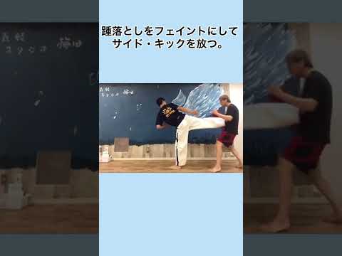 踵落としをフェイントにしてサイド・キックを放つ　#shorts