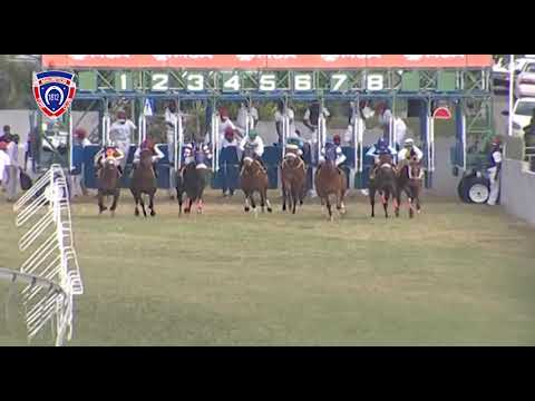 RM28 R7 - Ocean Drive South