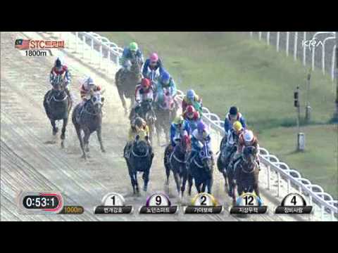 2011 STC Malaysia Trophy - Gayabobae