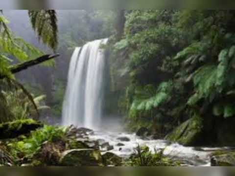 Beautiful Nature pics and background music